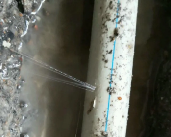 中阳卫生间测漏水多少钱